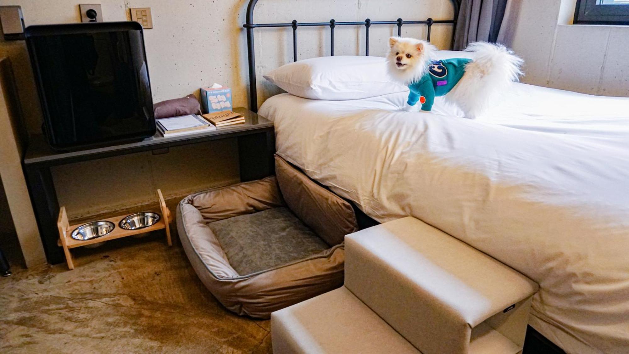 ホテル プレイス キャンプ 済州 Oso-ri エクステリア 写真